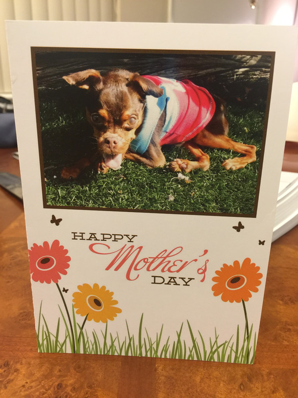 Walter aka Walnut Mother&#39;s Day Card