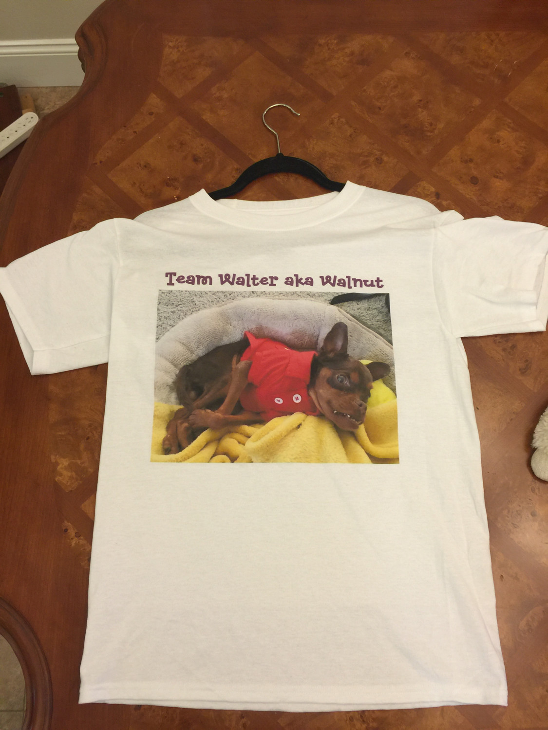 LARGE Team Walter aka Walnut T- Shirt