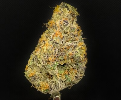 Gas Truffle LSO