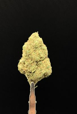 Platinum Girl Scout Cookies