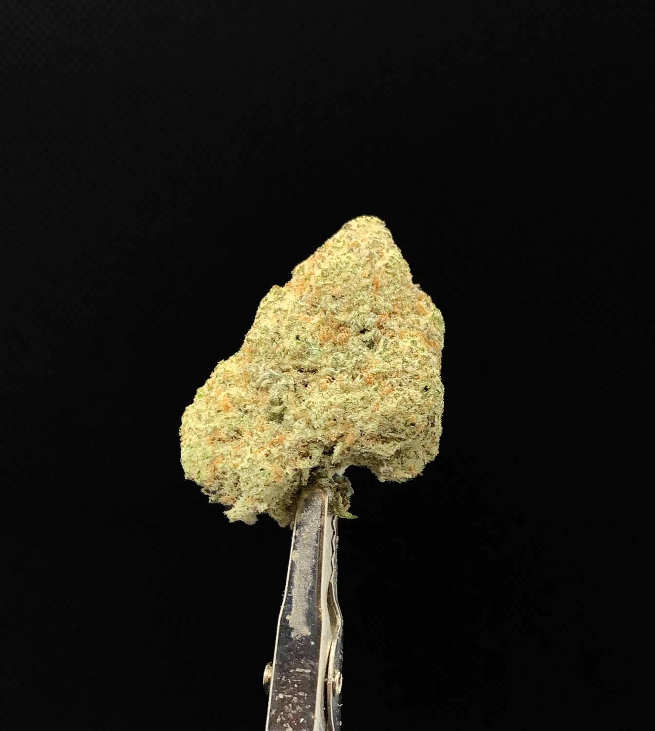 Miracle Alien Cookies (MAC1)