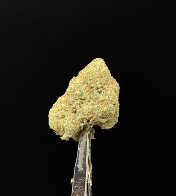 Miracle Alien Cookies (MAC1)