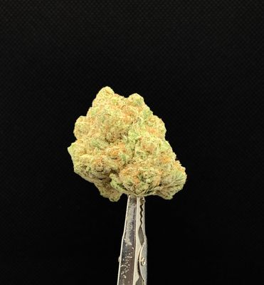 Sugar Cookie