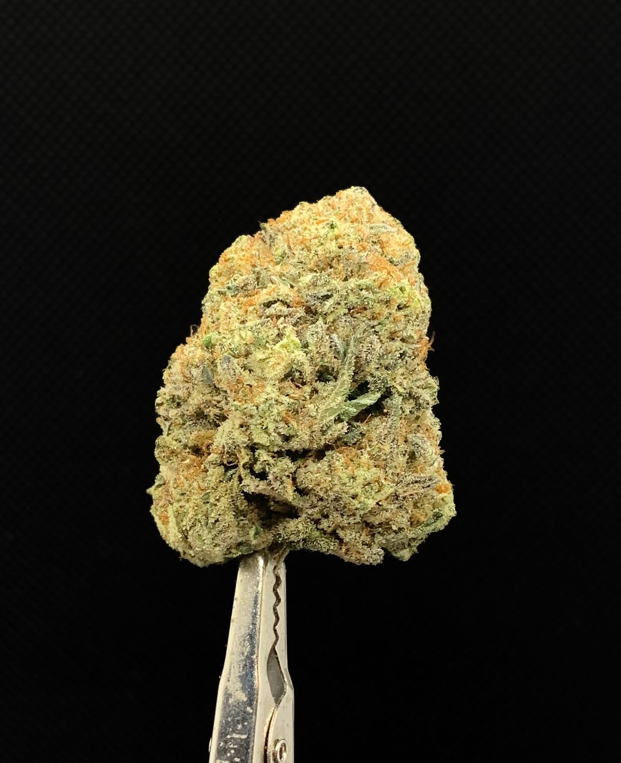 Cali Bubba