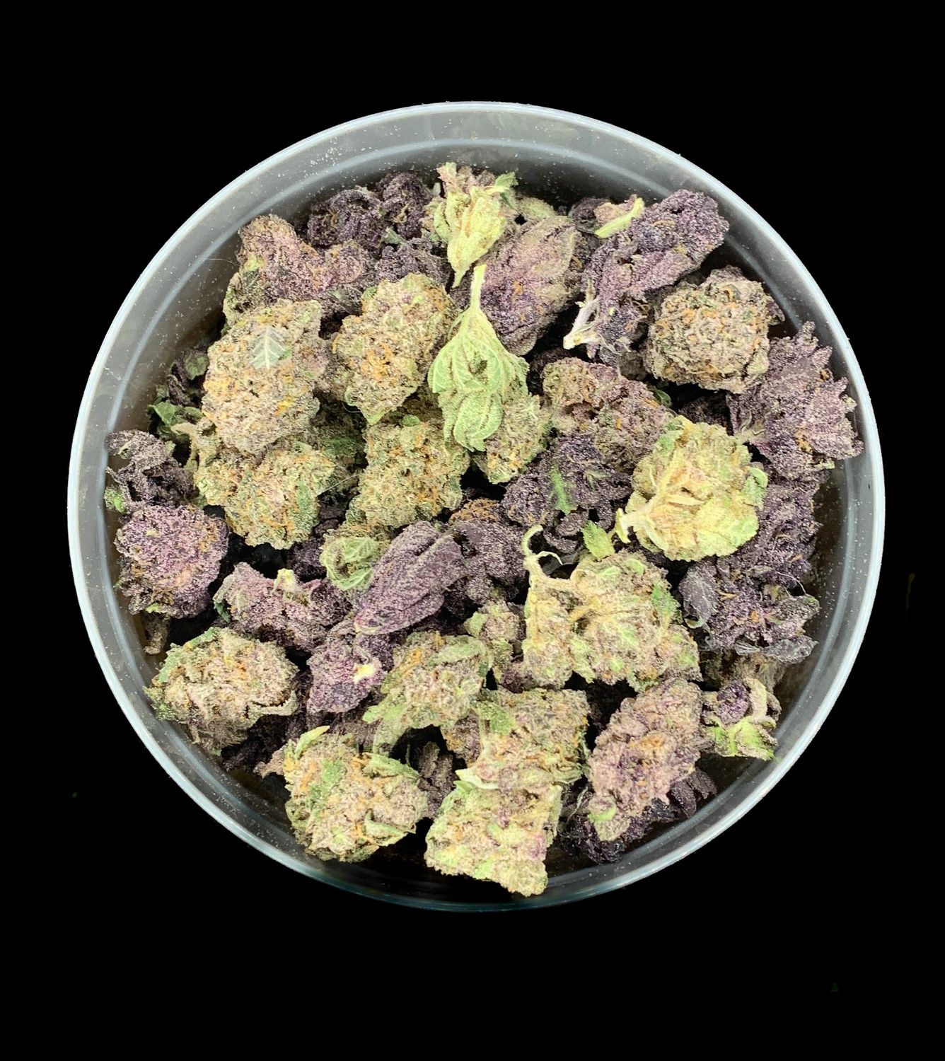 Ayahuasca Purple Smalls