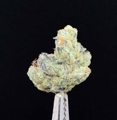Greasy Pink LSO