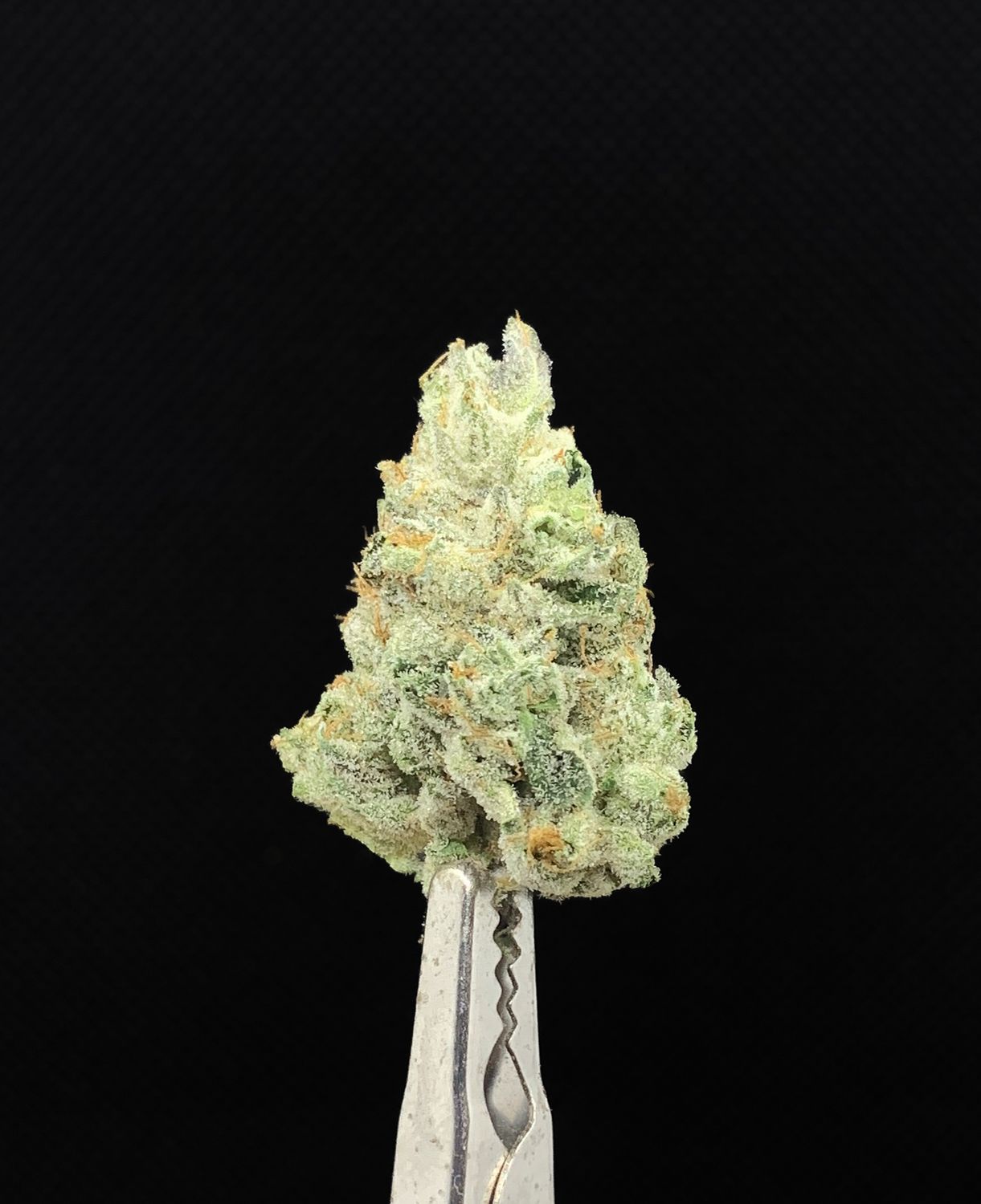 Roji OG LSO