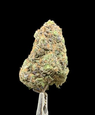 Pink Kush