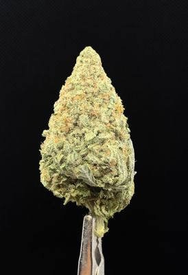 Blue Rhino