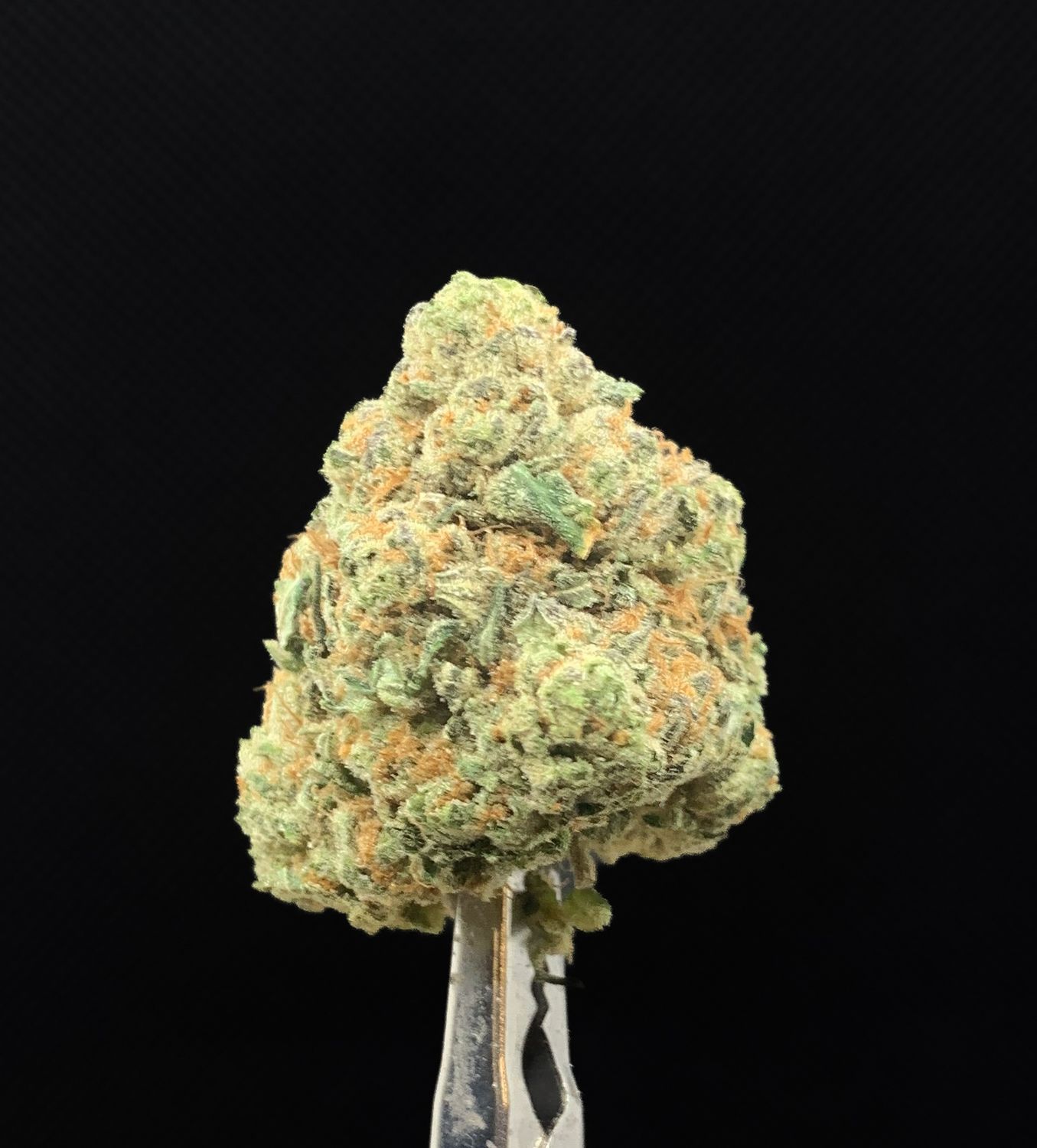 Jack Diesel