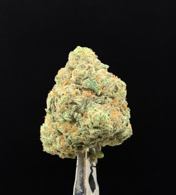Jack Diesel
