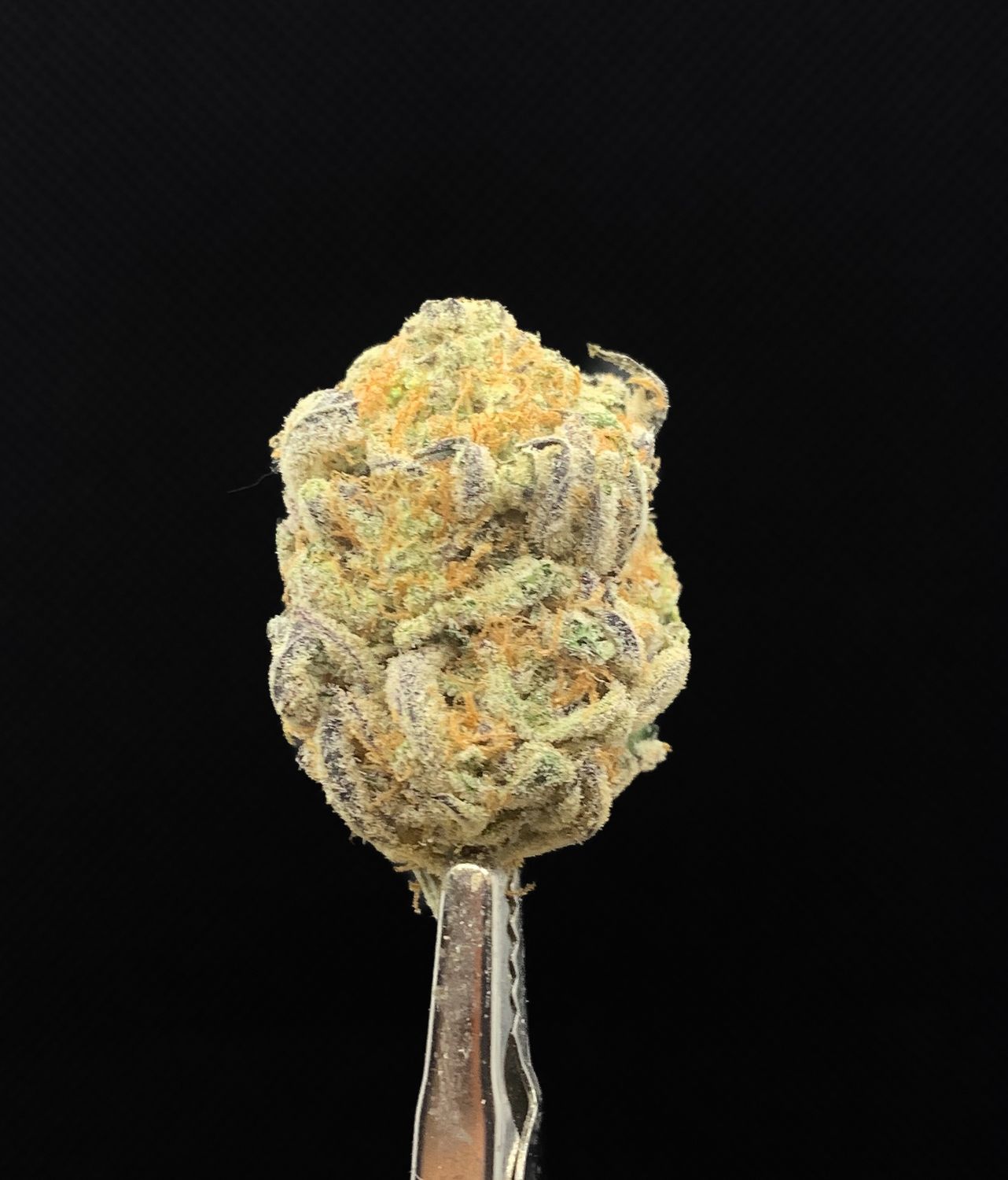 Zombie Kush