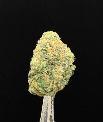 Lemon Hash Plant  LSO