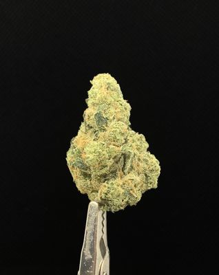 Gas Truffle LSO