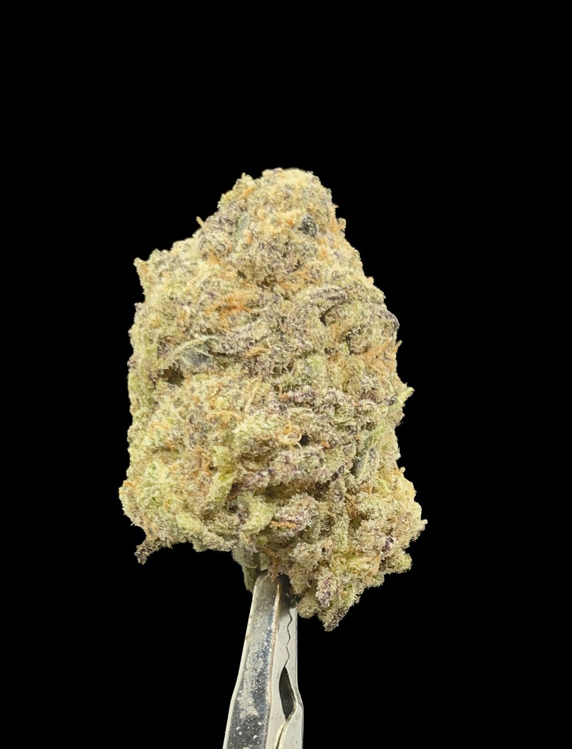 Motor Head