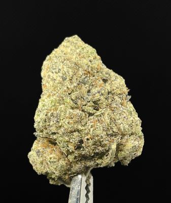 Mendo Breath