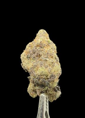 Grape Mac