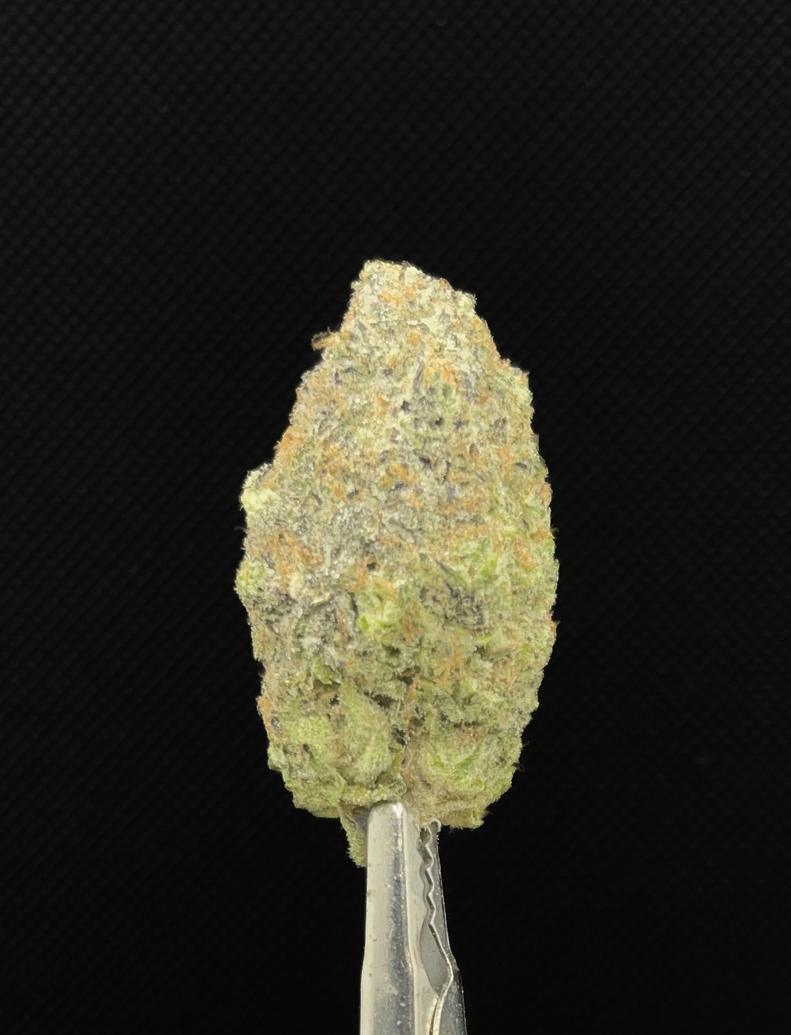 Tropicanna Punch