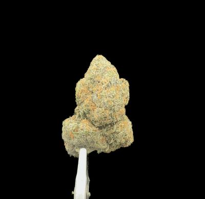 Grapefruit