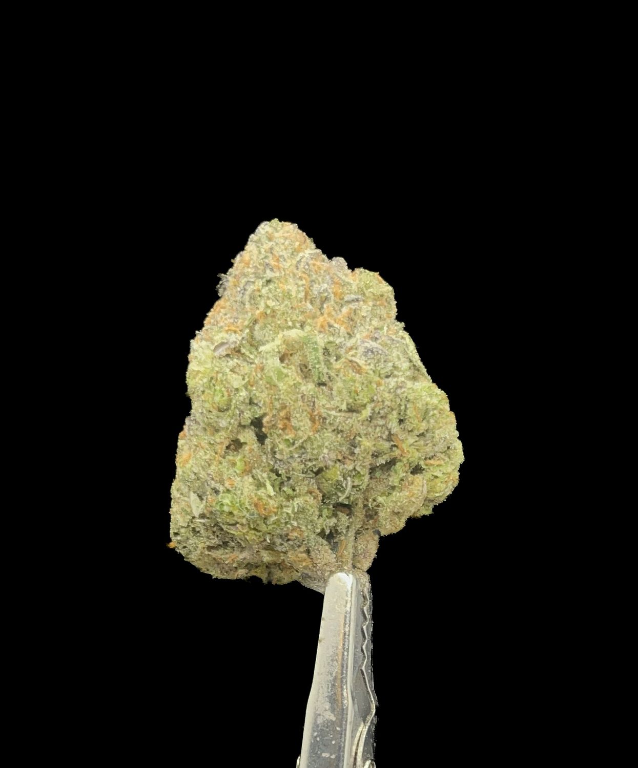 Guava