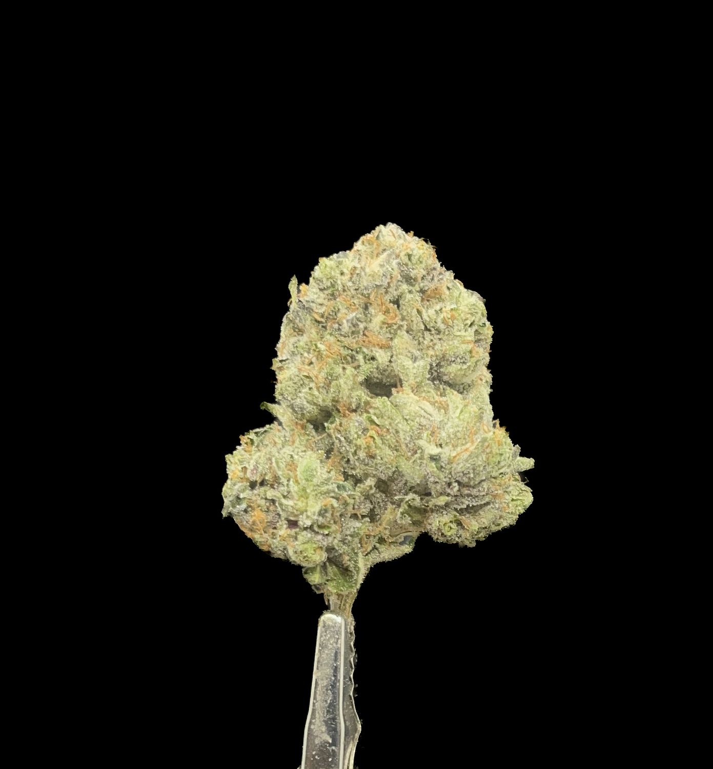 Pre 98 Bubba