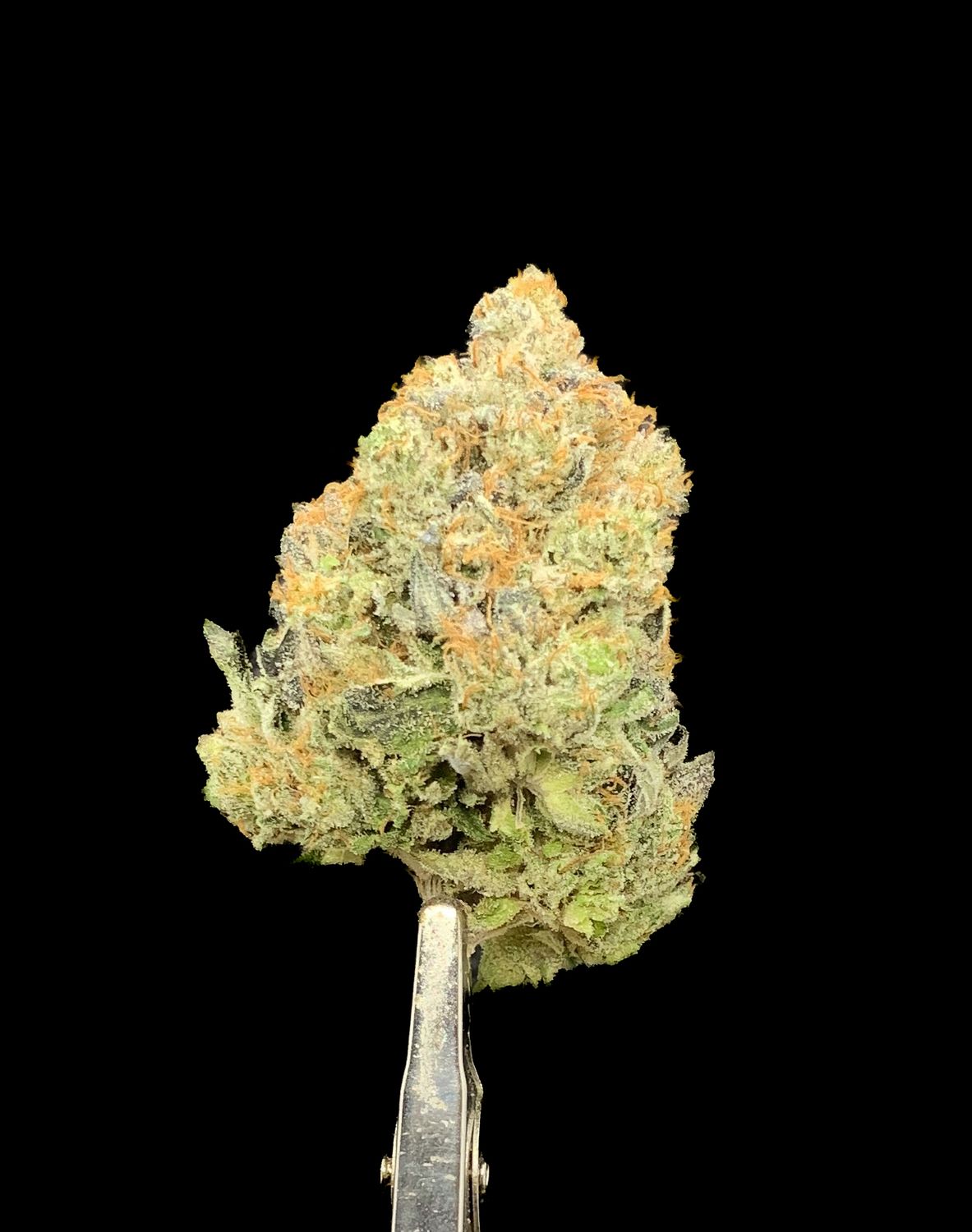 Pink OG