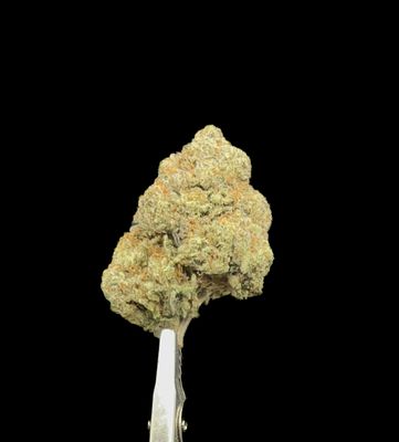 Pink Kush