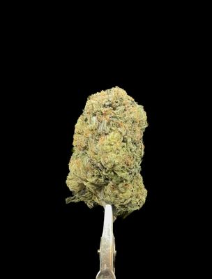 Platinum Rockstar