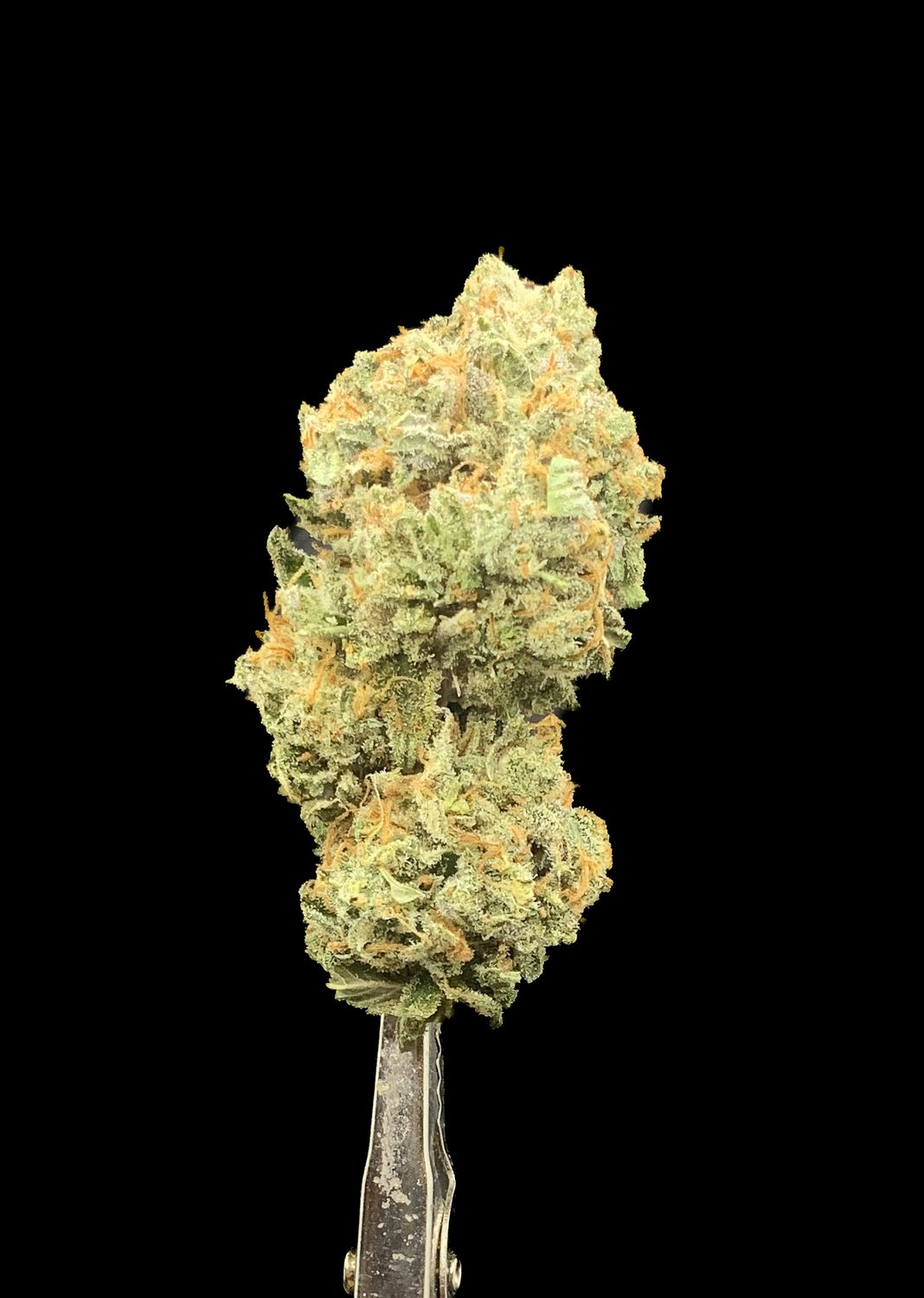 UBC Chemo