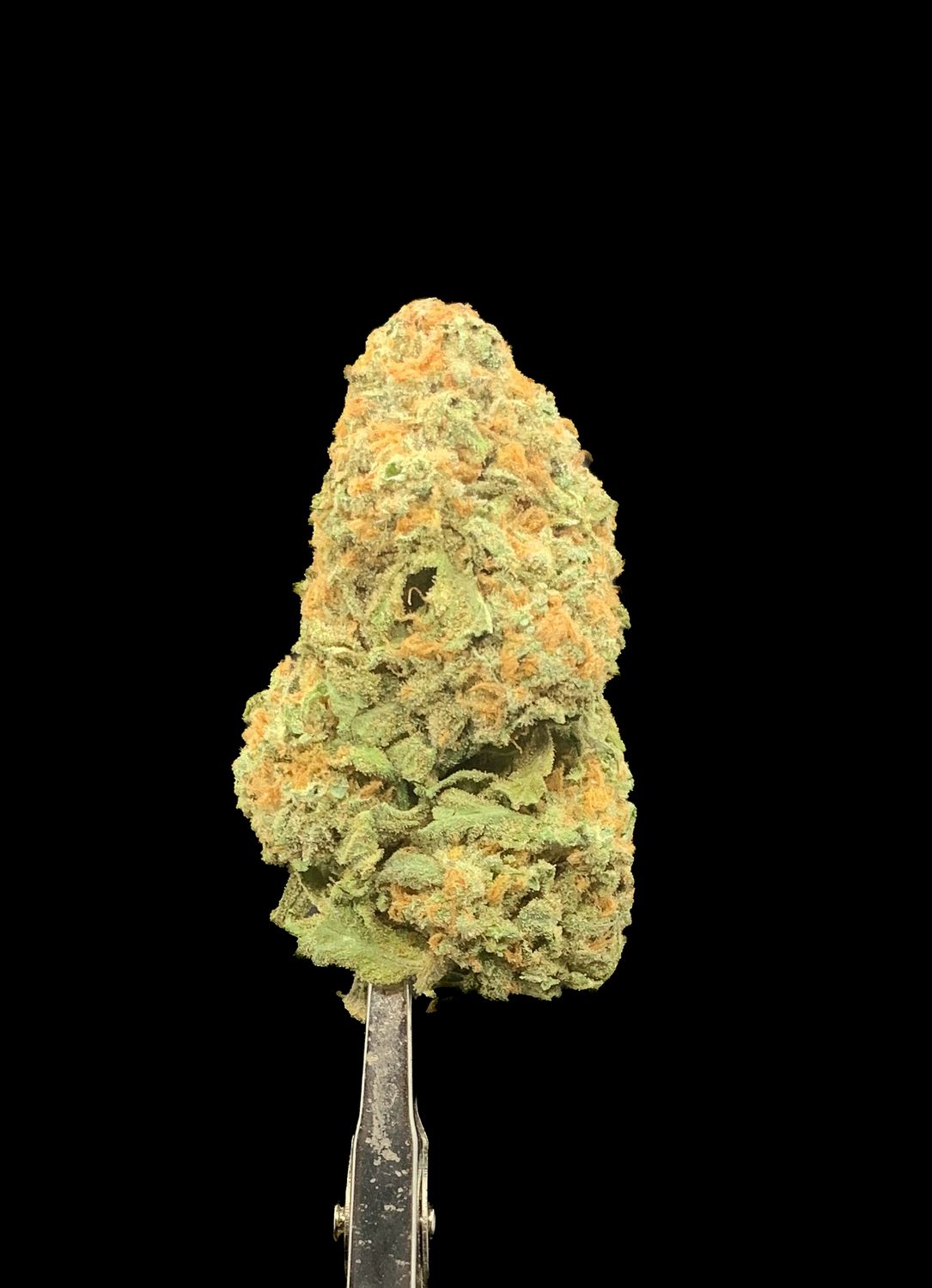 Nuken