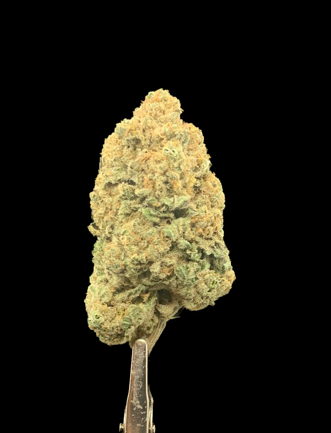Sour Diesel