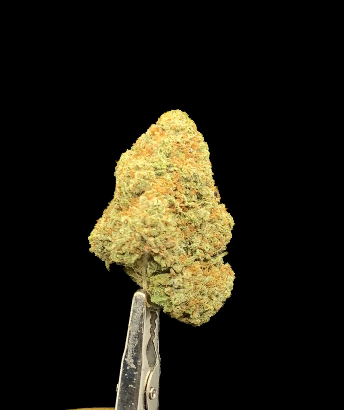 Secret Sugar