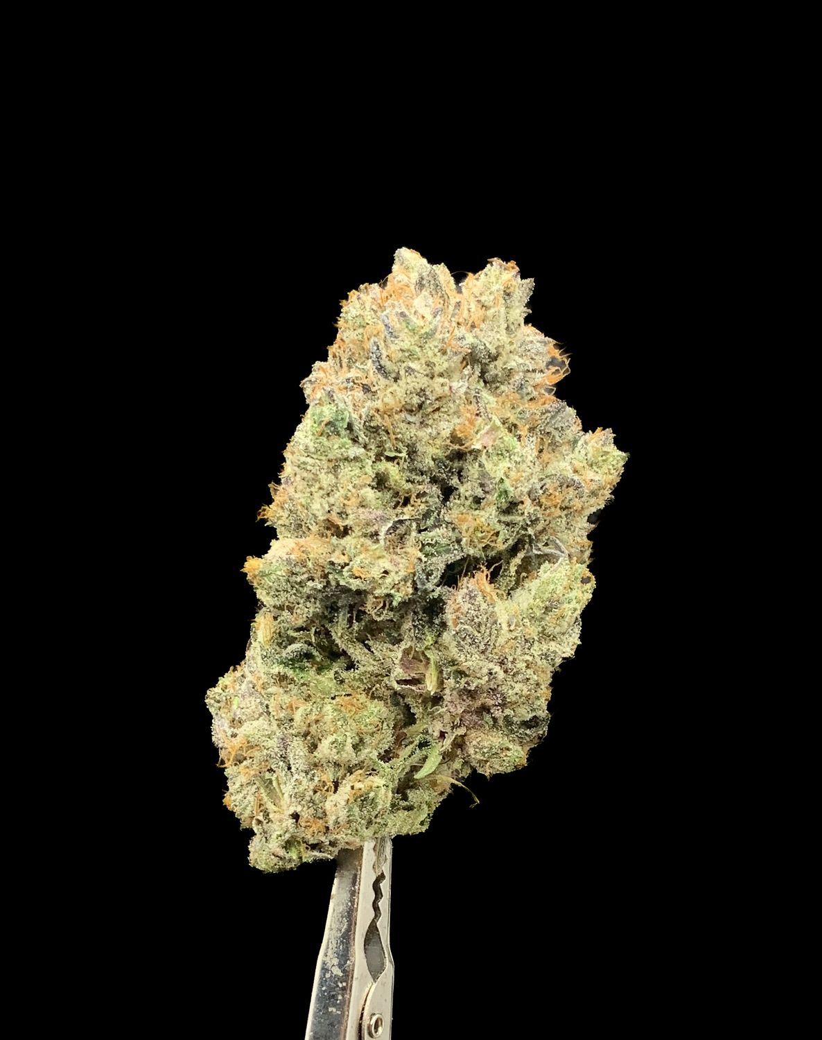 Black Gas
