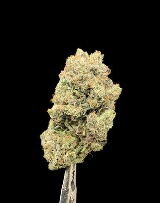 Black Gas