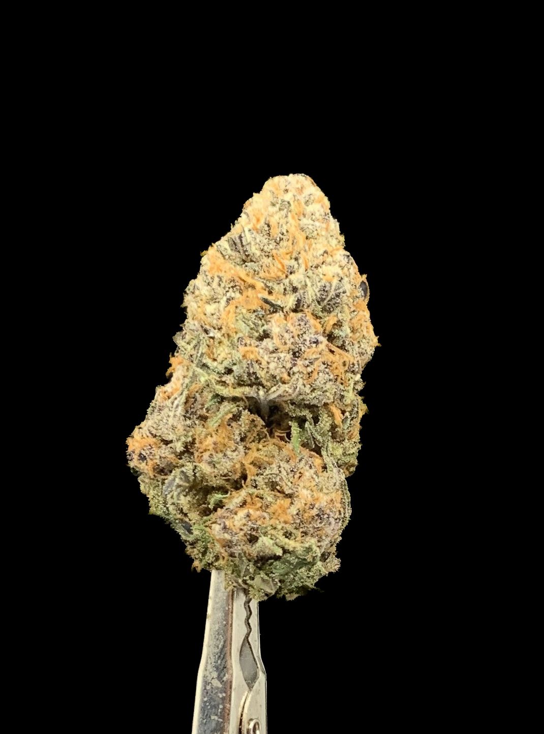 Blueberry Haze