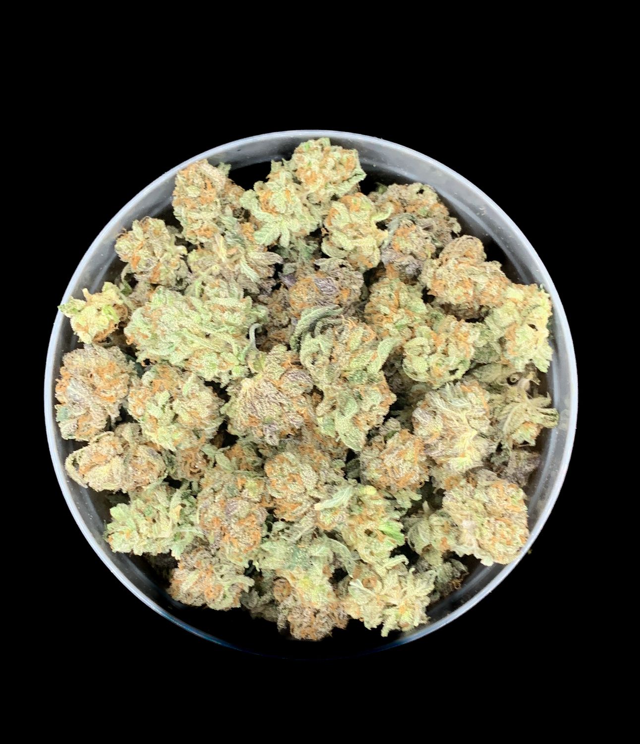 Comatose OG Smalls