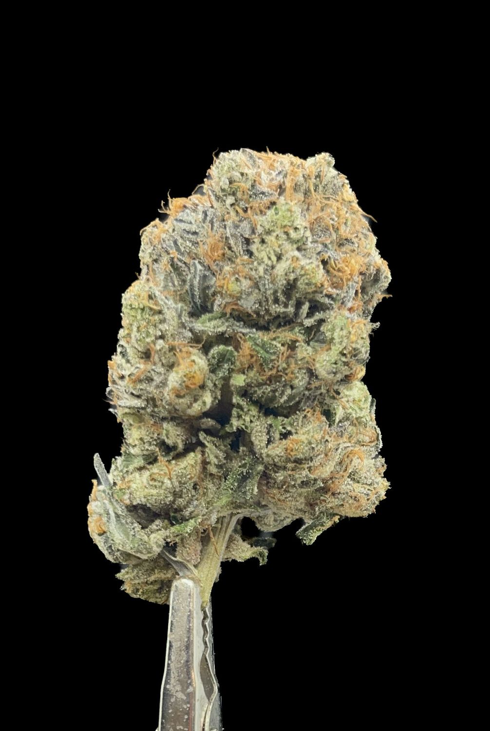 Island Pink Kush