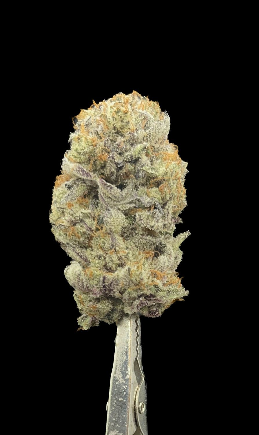 Jet Fuel Gelato