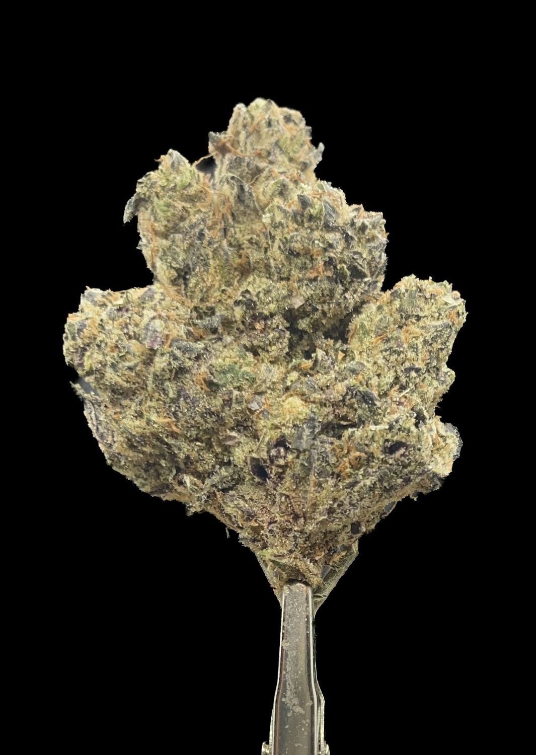 Rocket Pop LSO