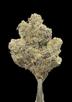Rocket Pop LSO
