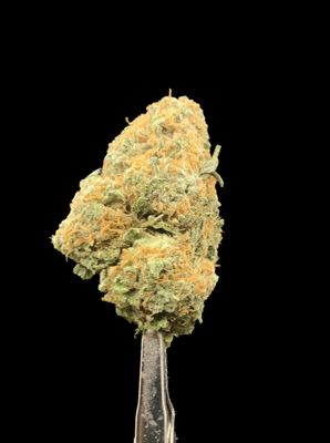 Grease Monkey