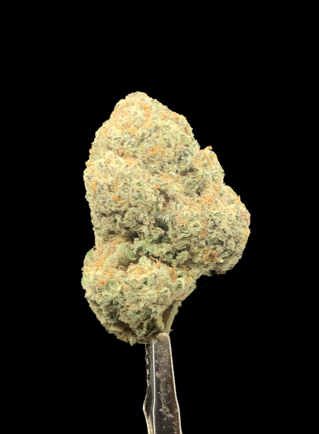Polar Gelato