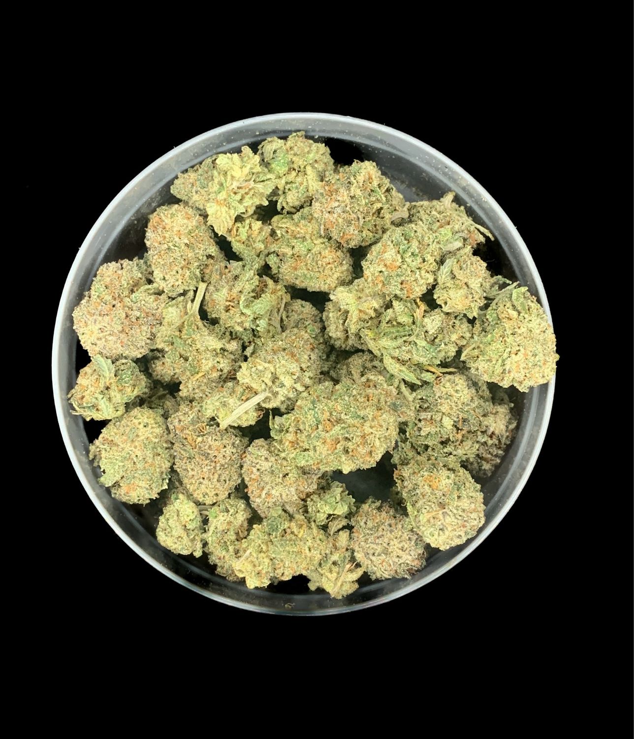 Purple Ripple Smalls