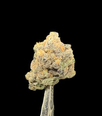 Rocket Fuel
