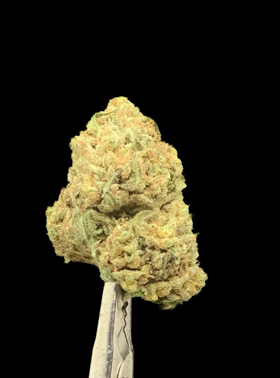 Pineapple Skunk