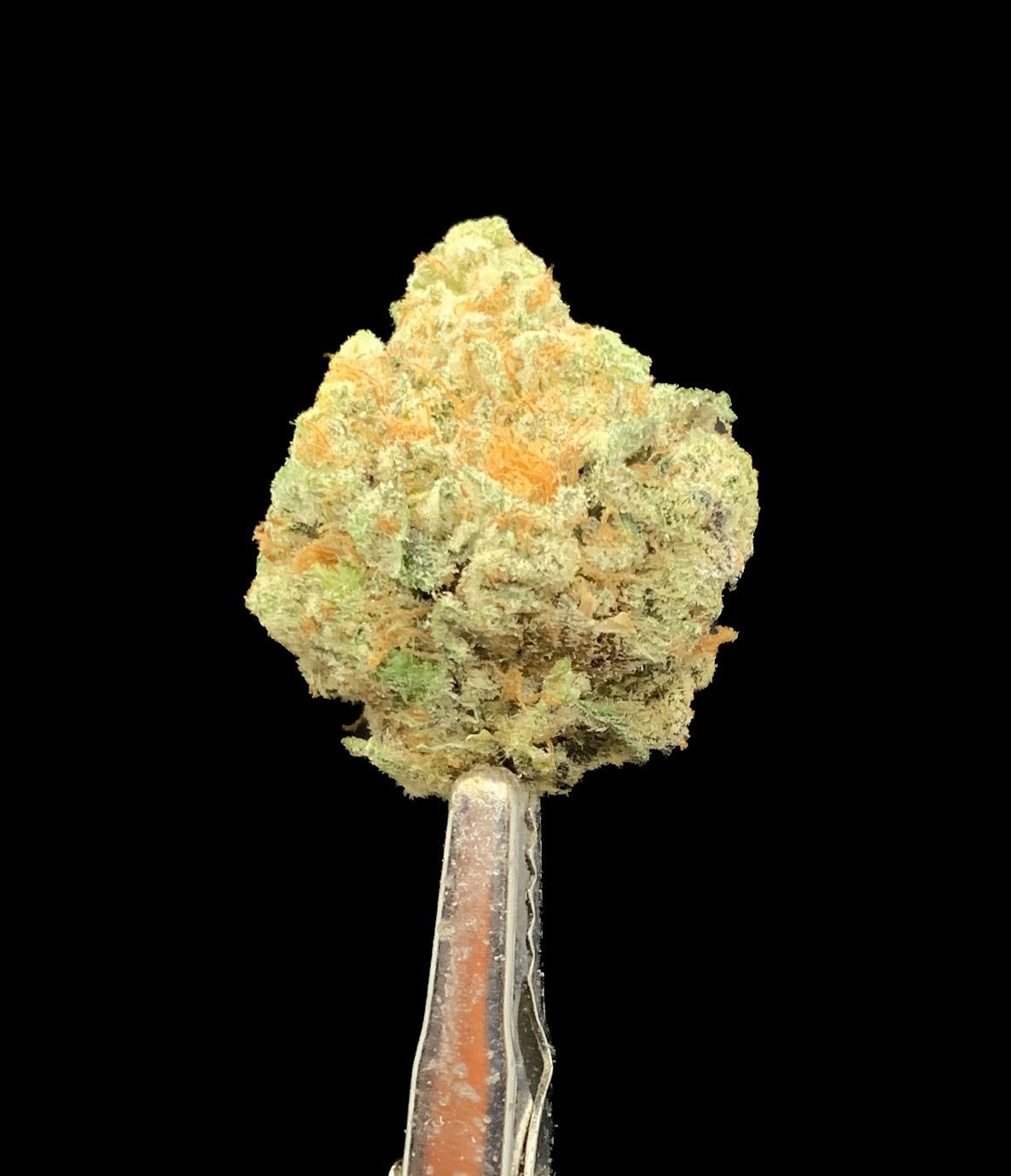 Strawberry Guava LSO