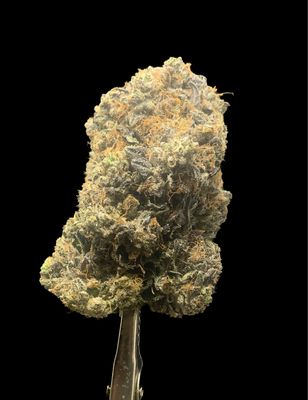 Tuna Kush