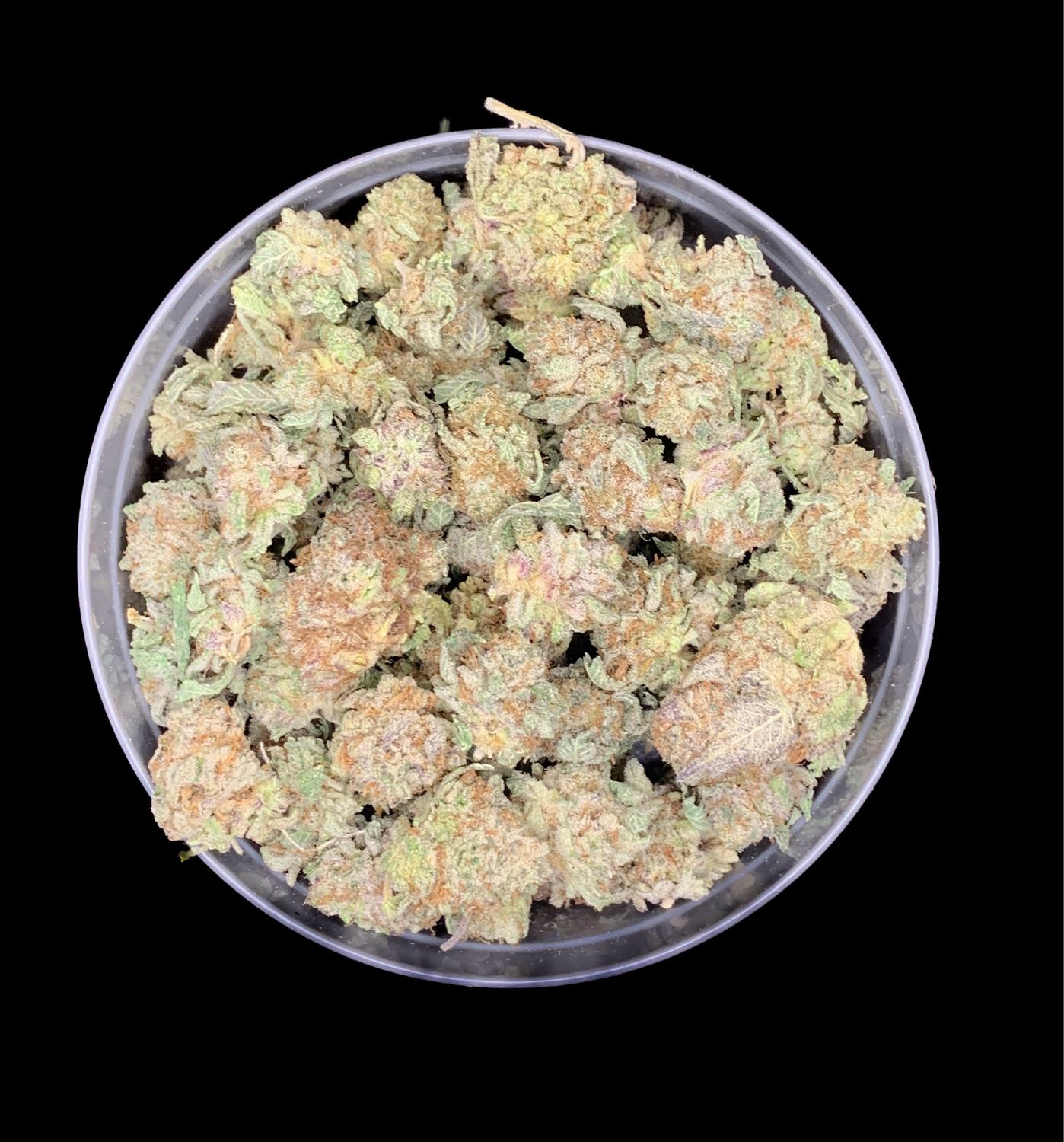 Miracle Alien Cookies (MAC1) - SMALLS