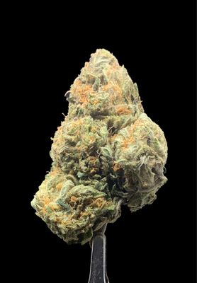 Love Potion