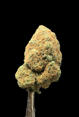 Cali Bubba